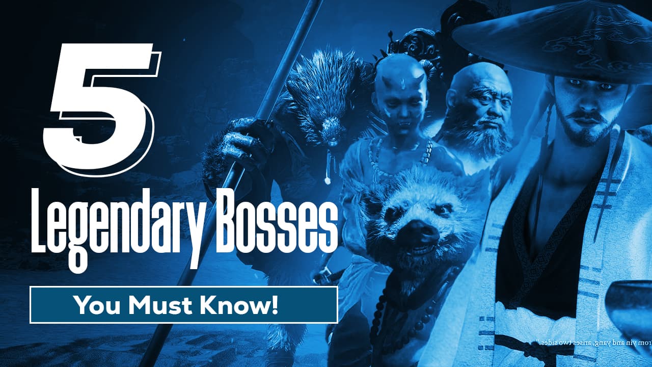 Portfolio Thumbnail Image 6